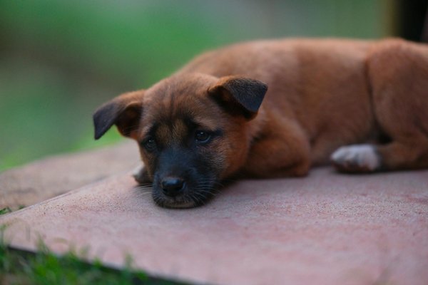 Come l'intelligenza artificiale rivoluziona la diagnosi anticipata delle malattie neurologiche rare?